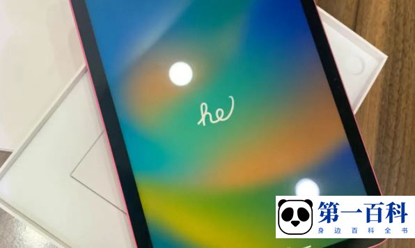 ipad10如何查看流量使用情况