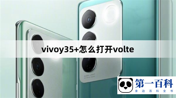 vivoy35+怎么打开volte