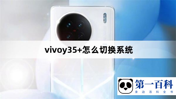 vivoy35+怎么切换系统