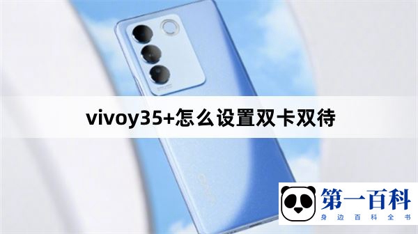 vivoy35+怎么设置双卡双待