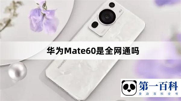 华为Mate60是全网通吗