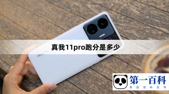 真我11pro跑分是多少