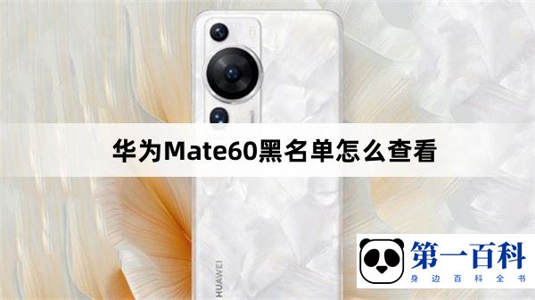 华为Mate60黑名单怎么查看