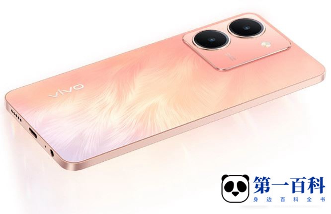 vivo Y78可以用两张电信卡吗