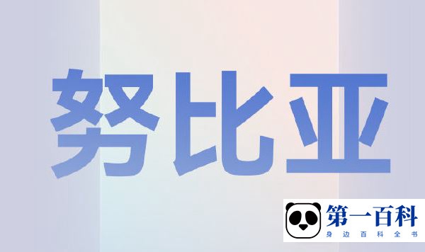 努比亚Z50 Ultra屏幕材质介绍