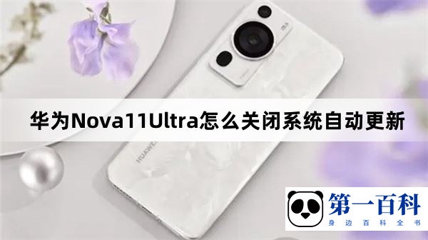 华为Nova11Ultra怎么关闭系统自动更新