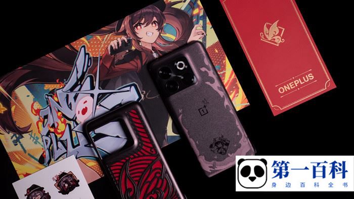 一加Ace Pro原神限定版支持快充吗