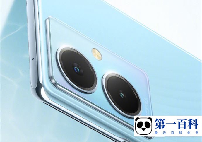 vivo Y78+支持多少瓦的快充