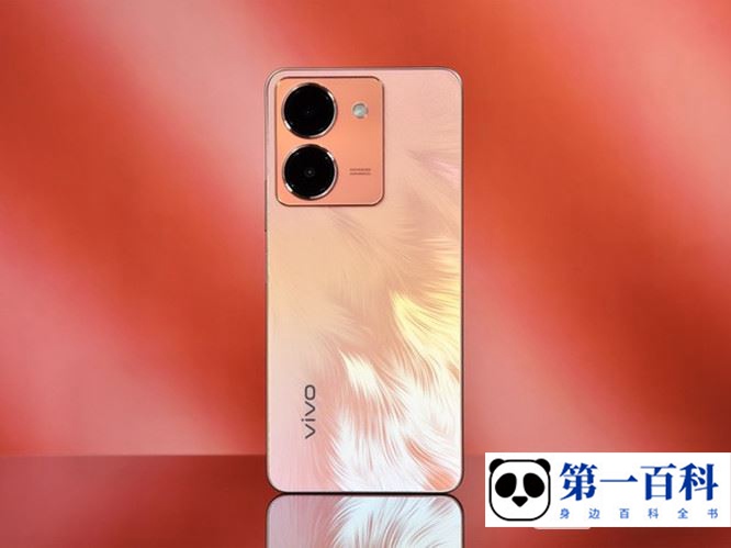 vivo Y78摄像头像素介绍