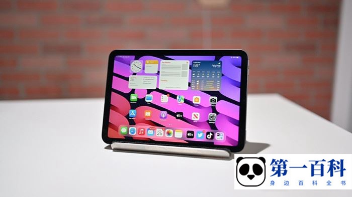 iPadmini6能打电话吗