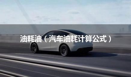 油耗油（汽车油耗计算公式）