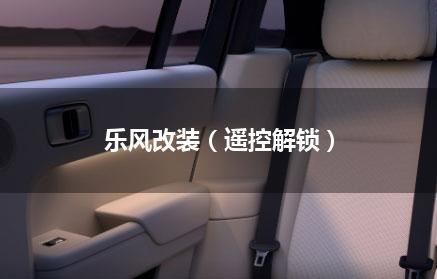 乐风改装（遥控解锁）