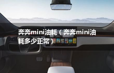 奔奔mini油耗（奔奔mini油耗多少正常）