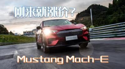 国产野马suv报价及图片（野马mustang mach-e 哪款性价比高）