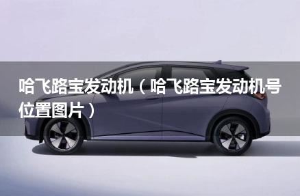 哈飞路宝发动机（哈飞路宝发动机号位置图片）