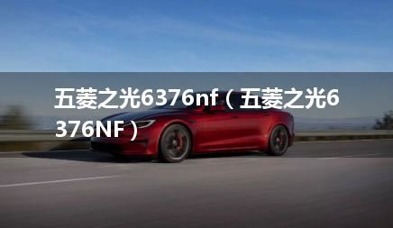 五菱之光6376nf（五菱之光6376NF）