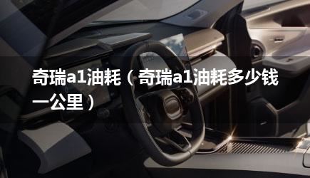 奇瑞a1油耗（奇瑞a1油耗多少钱一公里）