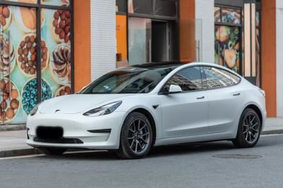 特斯拉model3怎么样省电（特斯拉model3最好的一款试驾）