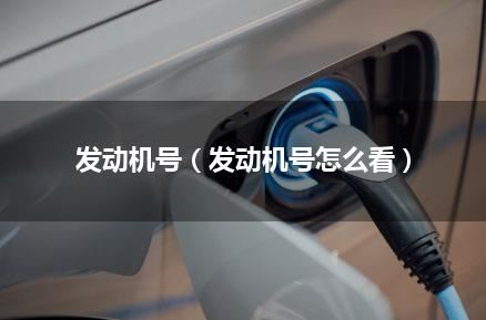 发动机号（发动机号怎么看）