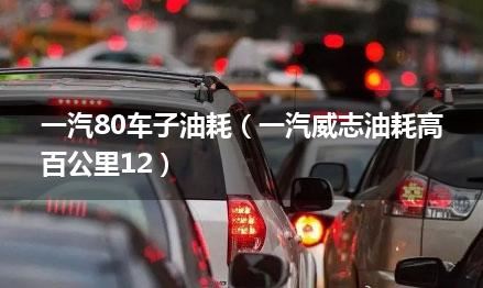 一汽80车子油耗（一汽威志油耗高百公里12）