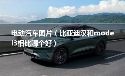 电动汽车图片（比亚迪汉和model3相比哪个好）