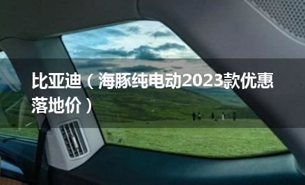 比亚迪（海豚纯电动2023款优惠落地价）