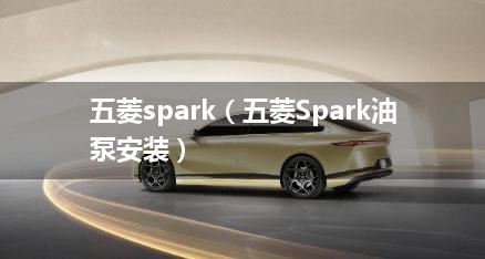 五菱spark（五菱Spark油泵安装）