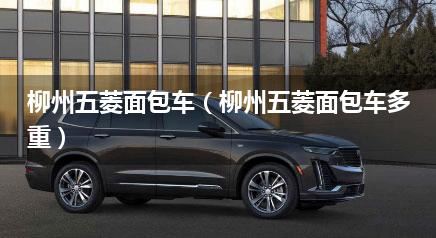 柳州五菱面包车（柳州五菱面包车多重）