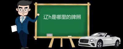 辽h是哪里的牌照-辽宁省车牌简称
