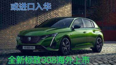 进口汽车标志图片大全（新款标致308海外上市）