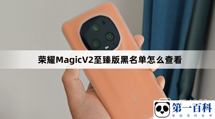 荣耀MagicV2至臻版黑名单怎么查看