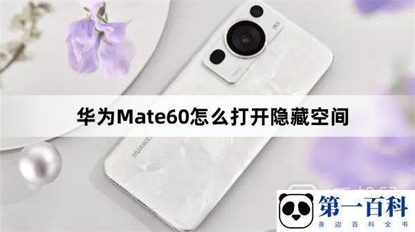 华为Mate60怎么打开隐藏空间