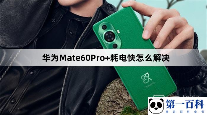 华为Mate60Pro+耗电快怎么解决