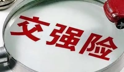 2022年车保险不用贴了吗