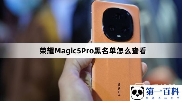 荣耀Magic5Pro黑名单怎么查看