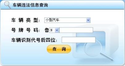 汽车违章几天后可以查询到结果