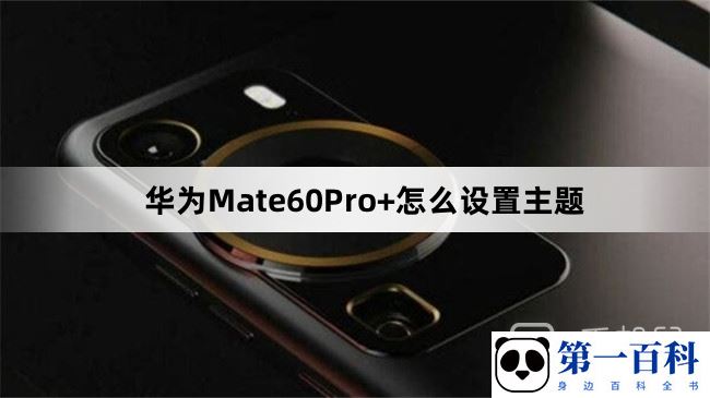 华为Mate60Pro+怎么设置主题