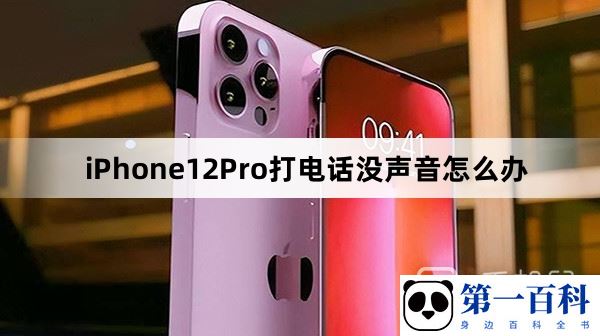 iPhone12Pro打电话没声音怎么办