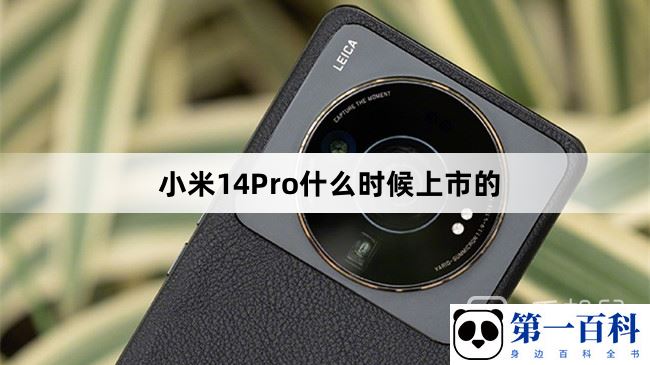 小米14Pro什么时候上市的