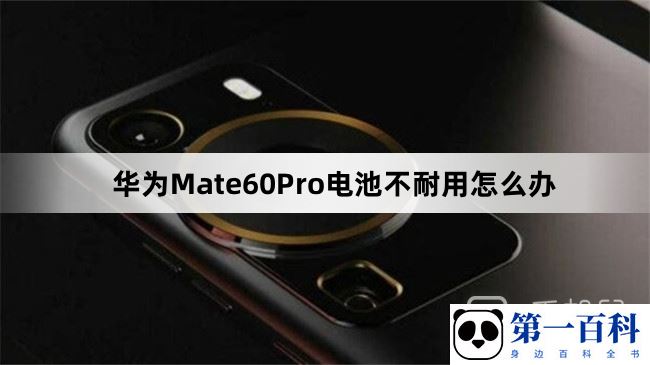 华为Mate60Pro电池不耐用怎么办