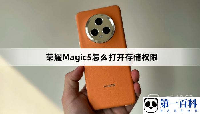 荣耀Magic5怎么打开存储权限