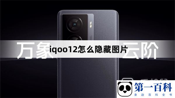 iqoo12怎么隐藏图片