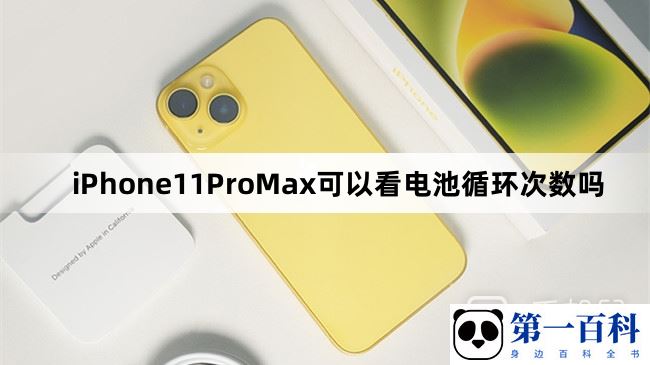 iPhone11ProMax可以看电池循环次数吗