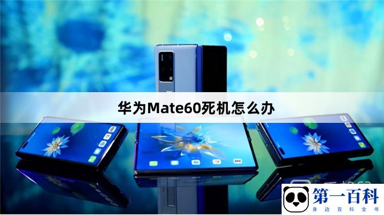 华为Mate60死机怎么办