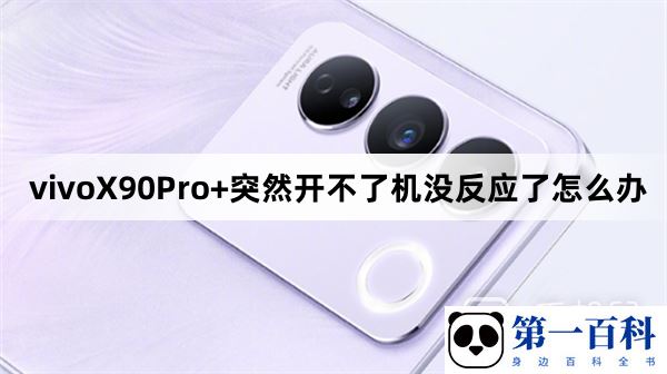 vivoX90Pro+突然开不了机没反应了怎么办