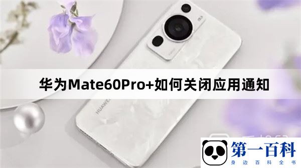 华为Mate60Pro+如何关闭应用通知