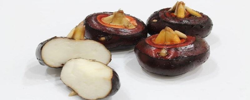 马蹄的存放方法