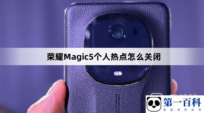 荣耀Magic5个人热点怎么关闭