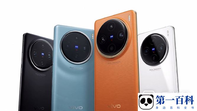 vivo X100蓝海电池是什么